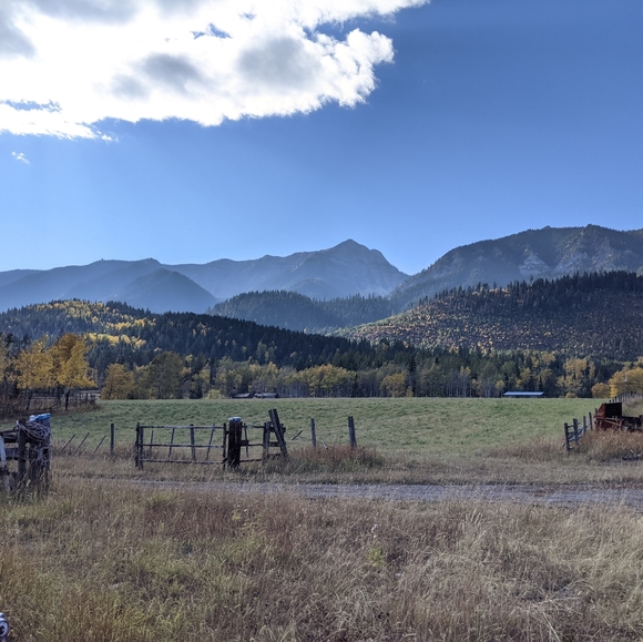 Meet your Posher, Jaclyn - Picture 1 of 1